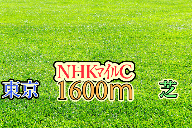 NHKマイルC　ブログ