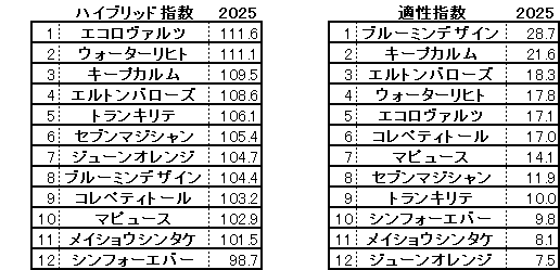 2025 中京記念 HB指数