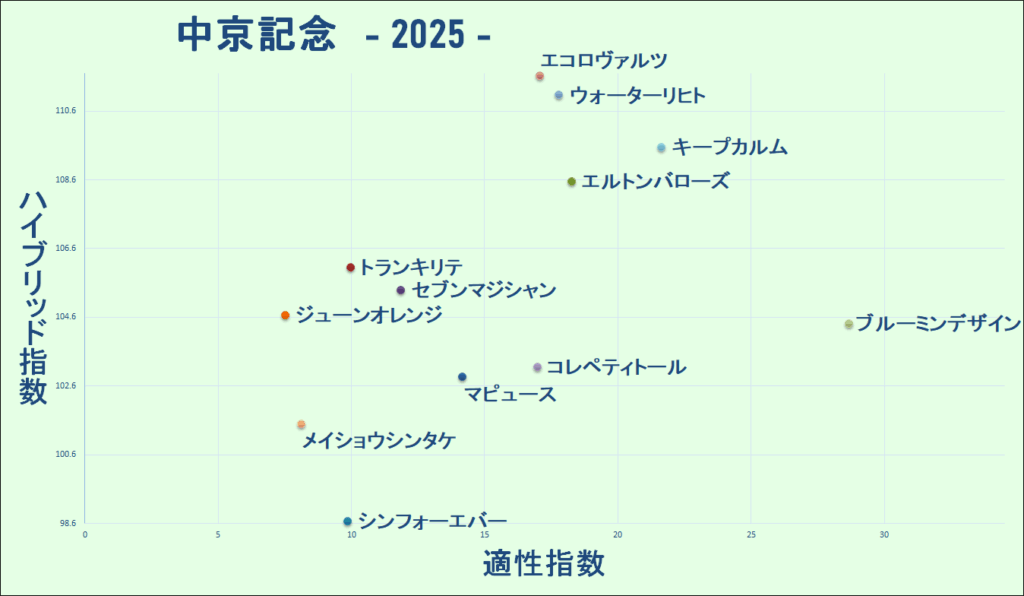 2025 中京記念 マトリクス