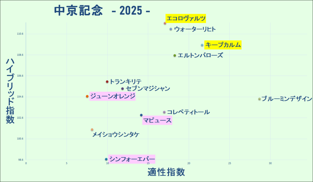 2025 中京記念 マトリクス 結果