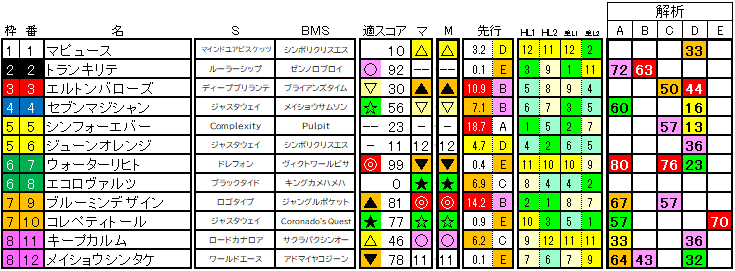 2025 中京記念 ラップ適性