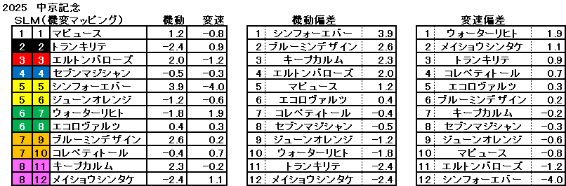 2025 中京記念 機変マップ 一覧