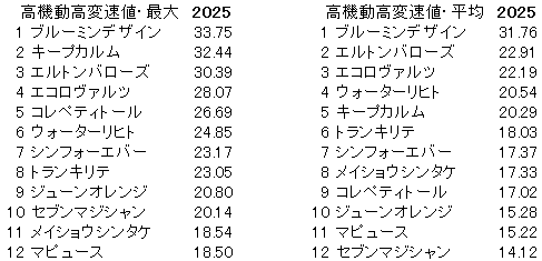 2025 中京記念 高機動高変速値