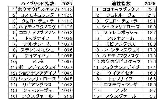 2025 札幌記念 HB指数