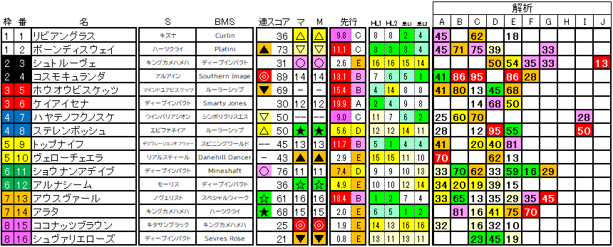 2025 札幌記念 ラップ適性