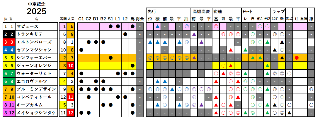 中京記念 検証データ 2025