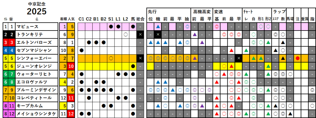 中京記念 検証データ 最低値限定版 2025
