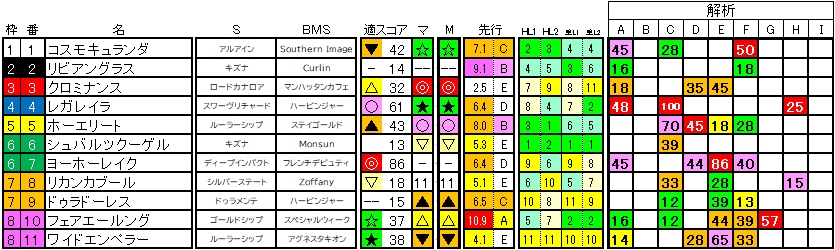 2025 オールカマー ラップ適性