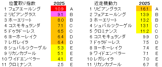 2025 オールカマー 位置取り指数