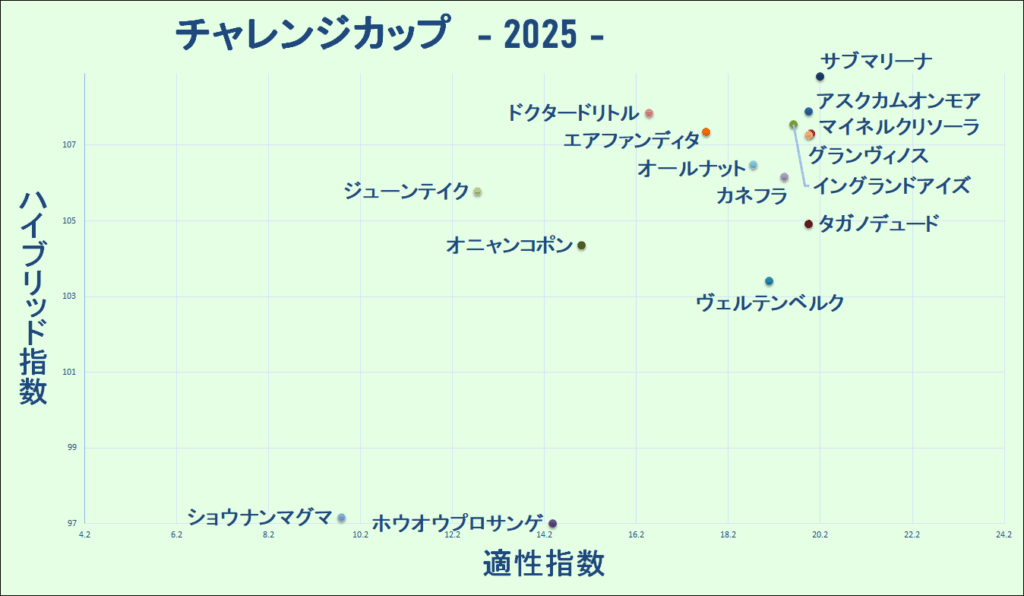 2025　チャレンジＣ　マトリクス