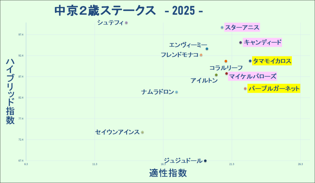 2025　中京２歳Ｓ　マトリクス　結果