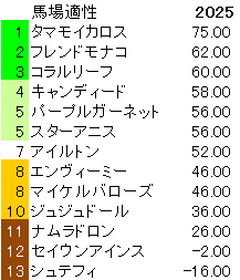 2025　中京２歳Ｓ　馬場適性指数