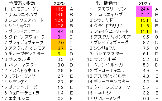 2025 新潟記念 位置取り指数