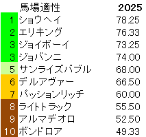 2025 神戸新聞杯 馬場適性指数