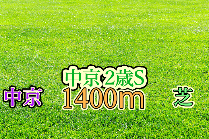 中京２歳Ｓ　ブログ