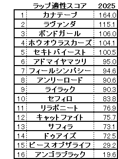 2025　アイルランドＴ　スコア