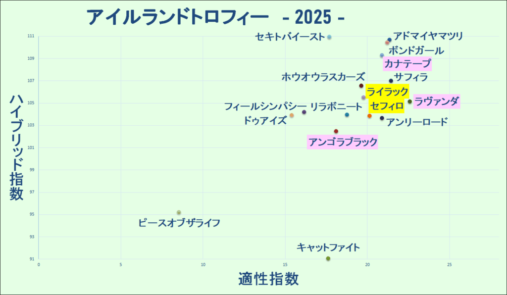 2025　アイルランドＴ　マトリクス　結果