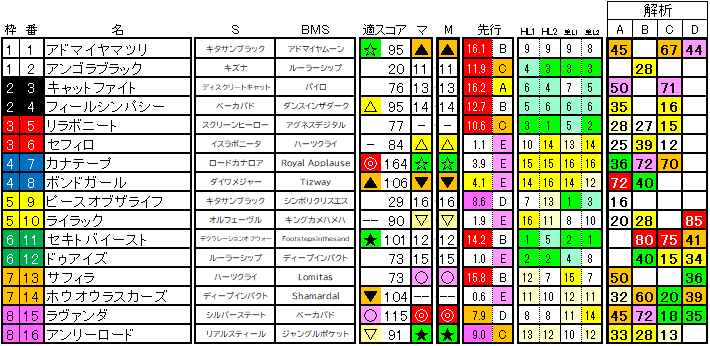 2025　アイルランドＴ　ラップ適性