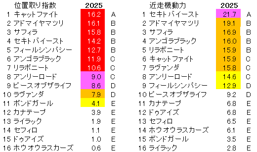 2025　アイルランドＴ　位置取り指数