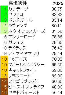 2025　アイルランドＴ　馬場適性指数