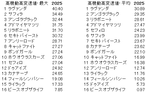 2025　アイルランドＴ　高機動高変速値