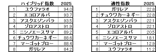 2025　サウジアラビアＲＣ　HB指数