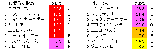 2025　サウジアラビアＲＣ　位置取り指数