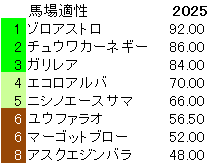 2025　サウジアラビアＲＣ　馬場適性指数