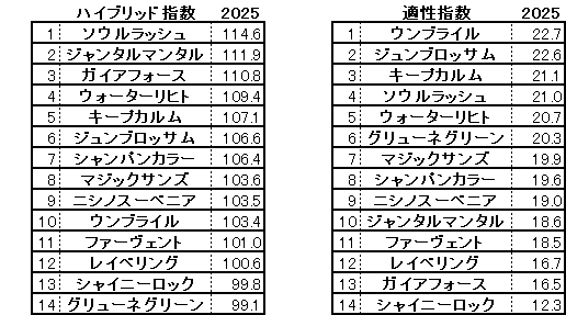 2025　富士Ｓ　HB指数
