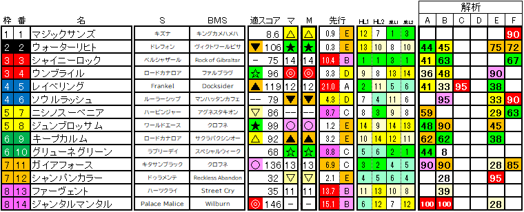 2025　富士Ｓ　ラップ適性