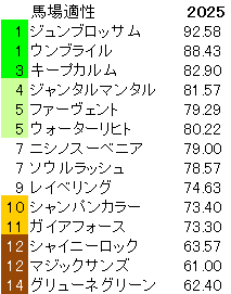 2025　富士Ｓ　馬場適性指数