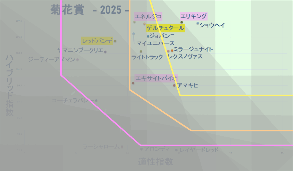 2025 菊花賞 マトリクス改 結果
