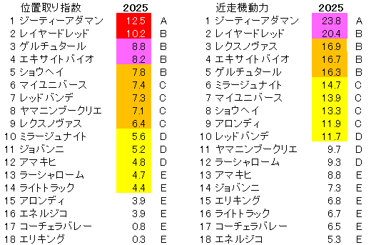 2025 菊花賞 位置取り指数