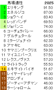 2025 菊花賞 馬場適性指数