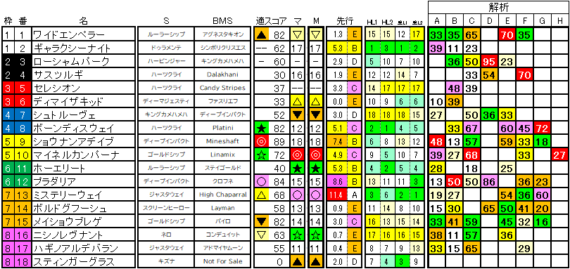 2025 アルゼンチン共和国杯 ラップ適性