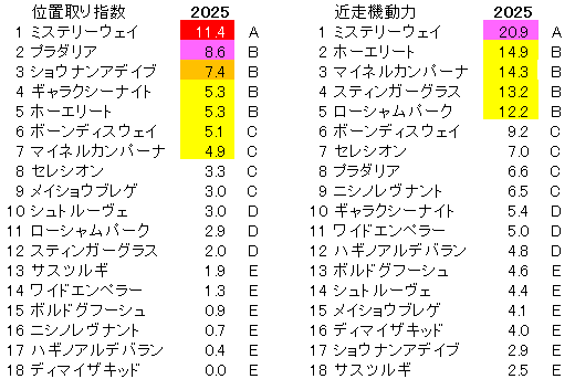2025 アルゼンチン共和国杯 位置取り指数