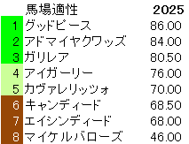 2025　デイリー杯２歳Ｓ　馬場適性指数