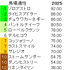 2025　東スポ杯２歳Ｓ　馬場適性指数