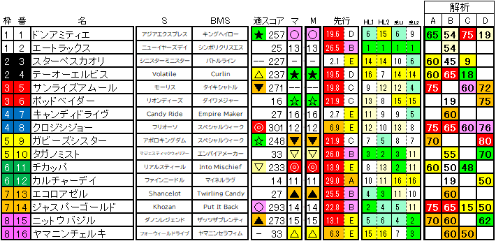2025　カペラＳ　ラップ適性