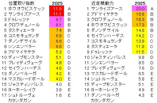 2025　ジャパンＣ　位置取り指数