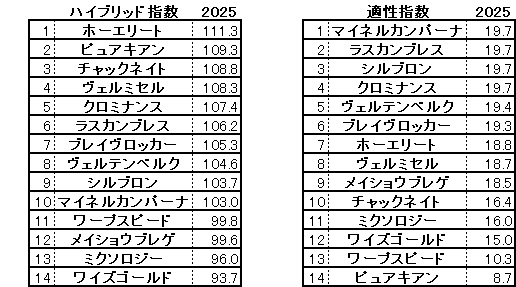 2025　ステイヤーズＳ　HB指数