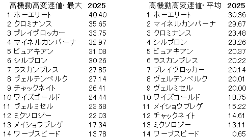 2025　ステイヤーズＳ　高機動高変速位ｔ