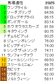 2025　ターコイズＳ　馬場適性指数