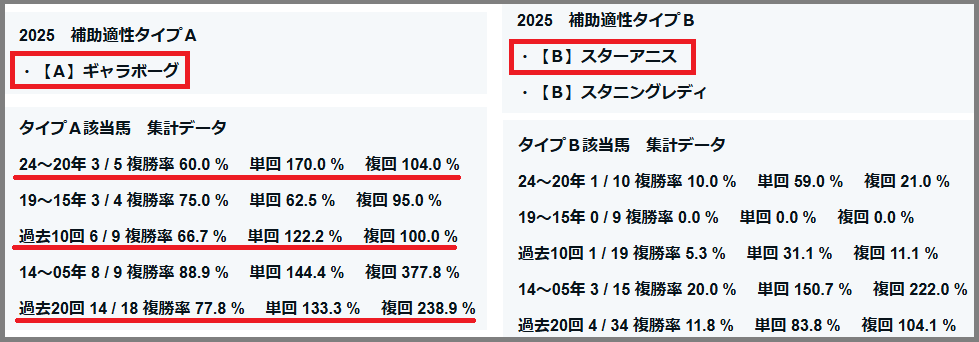 2025　阪神ＪＦ　補助適性タイプ