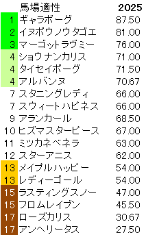 2025　阪神ＪＦ　馬場適性指数