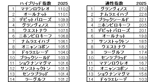 2025 鳴尾記念 HB指数