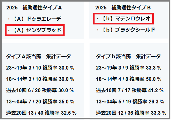 2025 鳴尾記念 補助適性タイプ