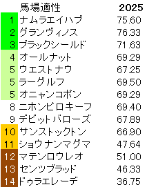 2025 鳴尾記念 馬場適性指数