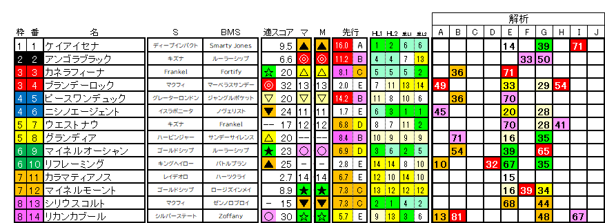 2026 中山金杯 ラップ適性
