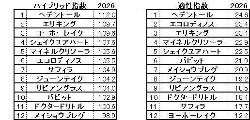 2026　京都記念　HB指数